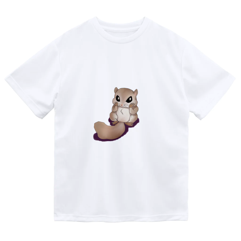 ミズドリの巣箱のドヤるモモンガ ドライTシャツ