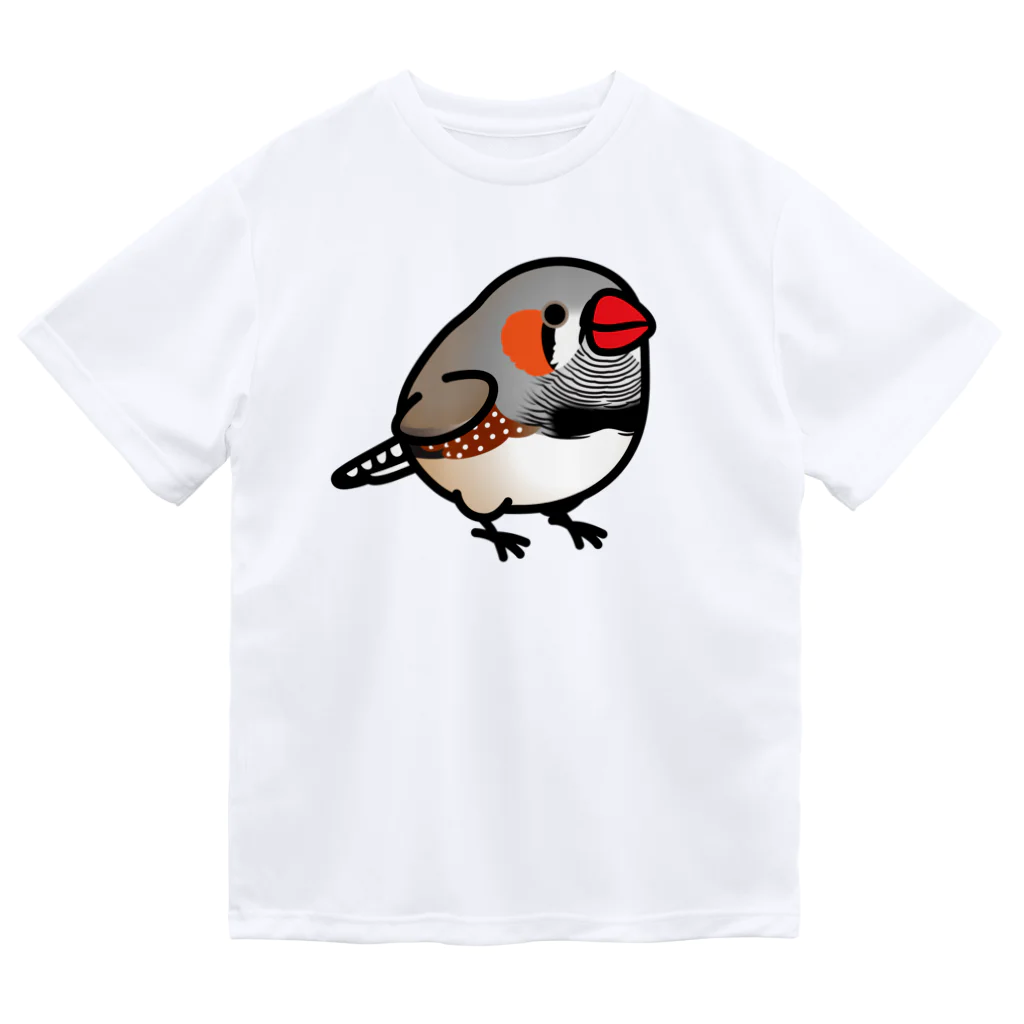 Cody the LovebirdのChubby Bird キンカチョウ ドライTシャツ