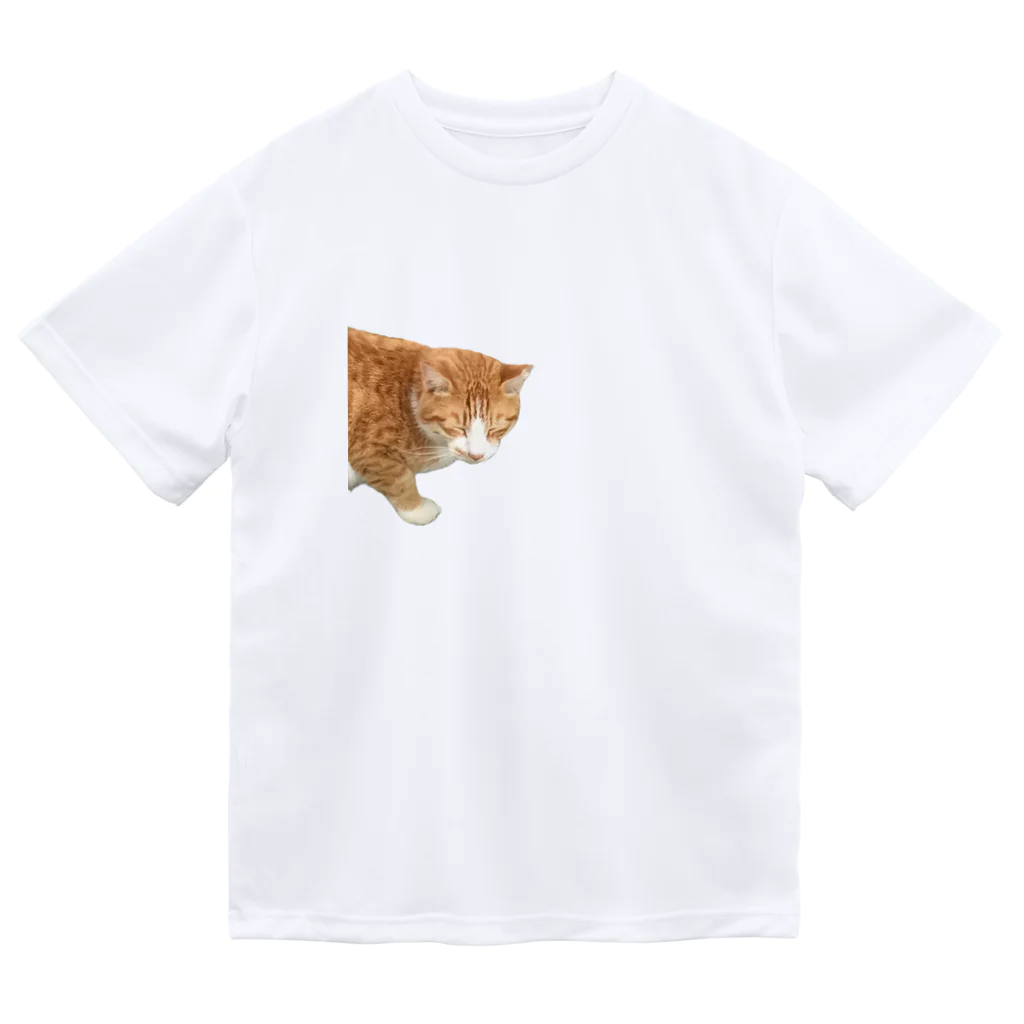 高橋のひょっこり猫 ドライTシャツ