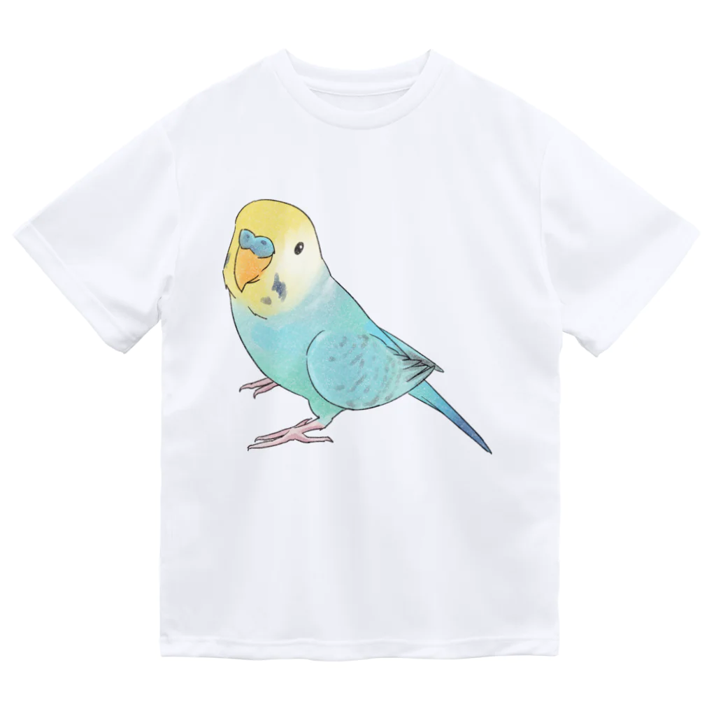 まめるりはことりの見上げるセキセイインコちゃん【まめるりはことり】 ドライTシャツ