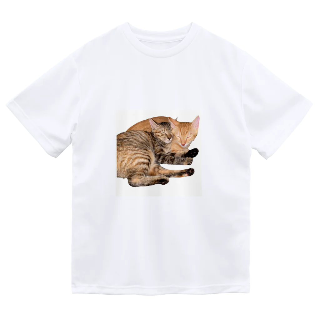 ChoboTora24の眠り猫ちゃん達 ドライTシャツ