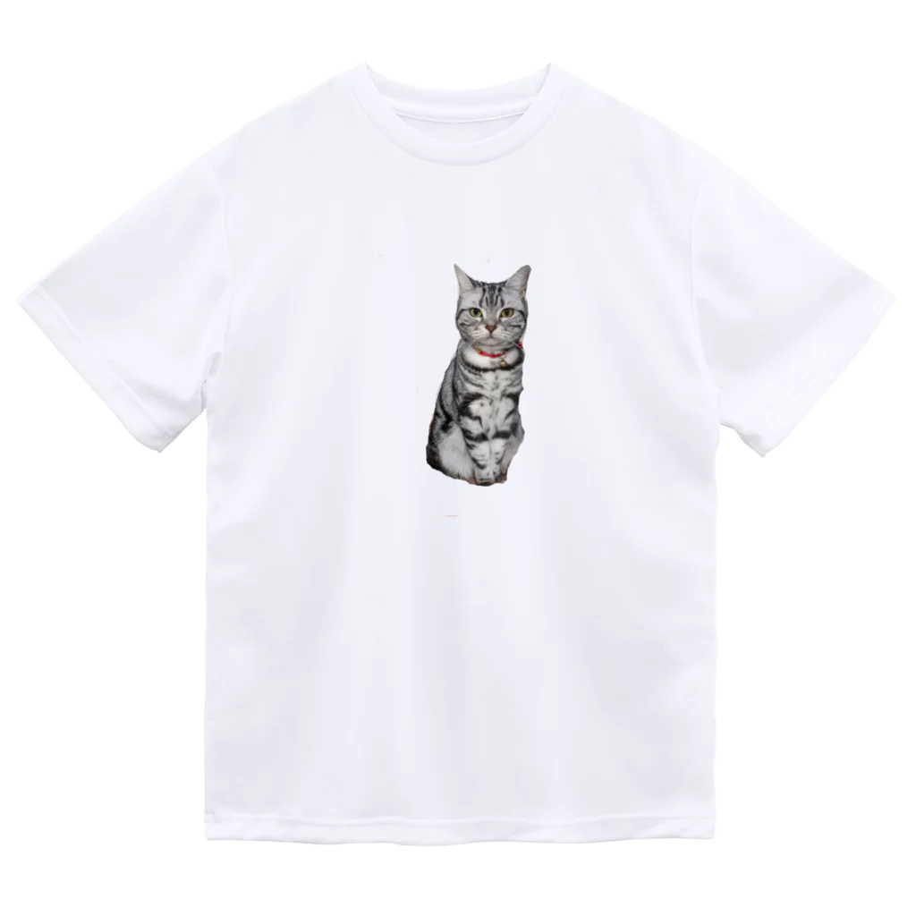 トォーラ🐈の猫のトォーラ Dry T-Shirt