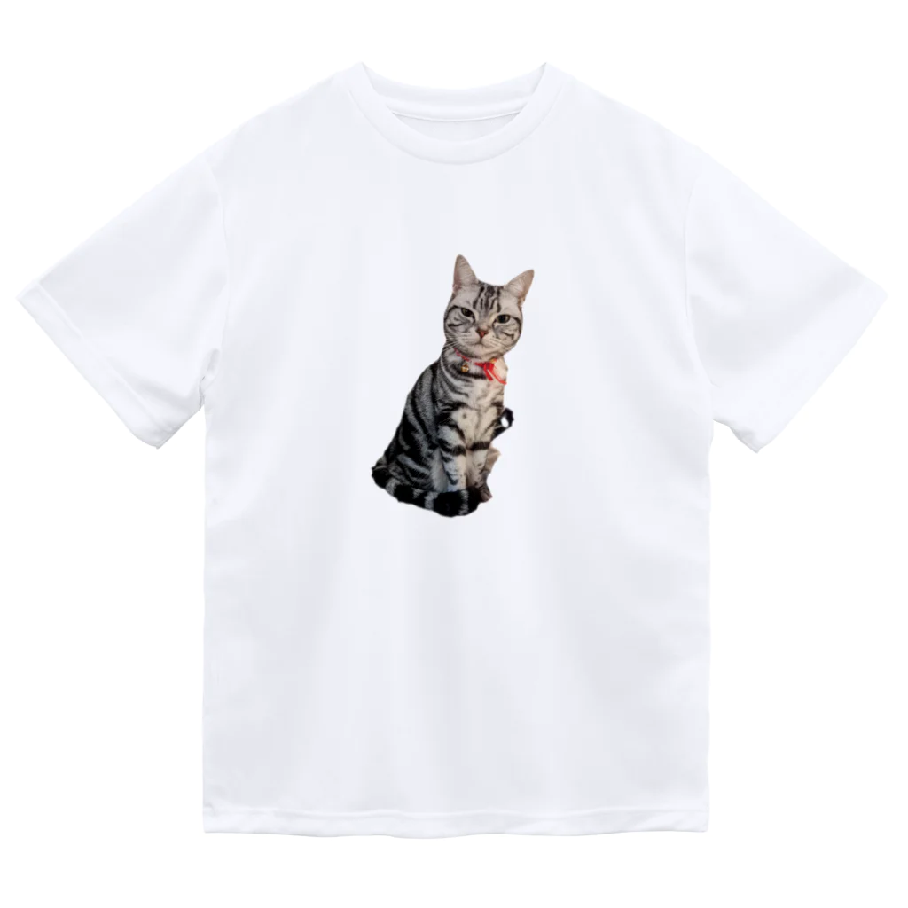 トォーラ🐈の猫のトォーラ ドライTシャツ