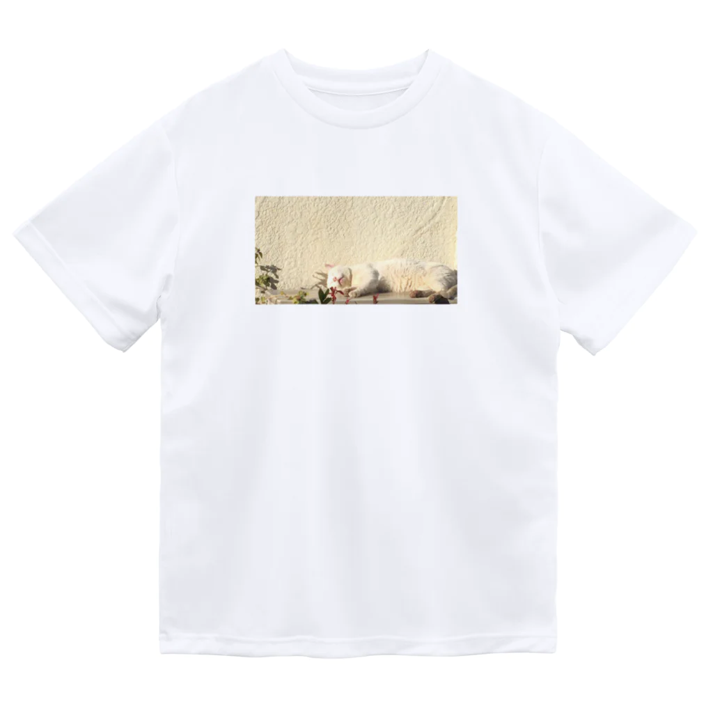 あべこのお店 の猫お昼寝 Dry T-Shirt