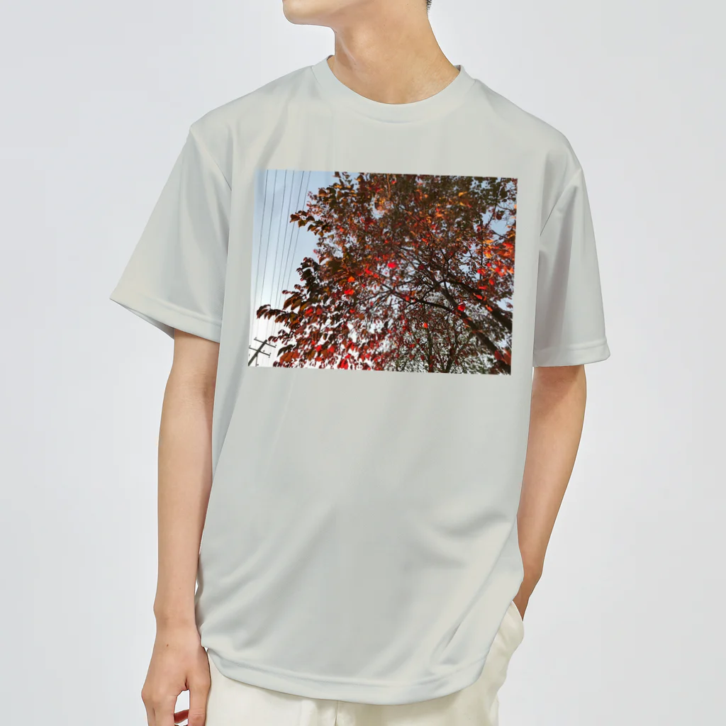 空屋　sorayakusakaの201910181619002　桜の紅葉 ドライTシャツ