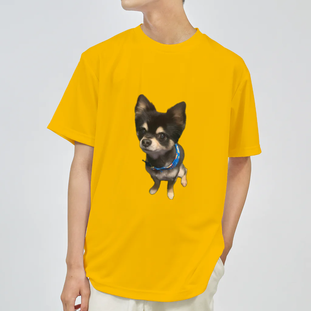 やすりー ショップの我が家の愛犬レン君 🐶1 ドライTシャツ