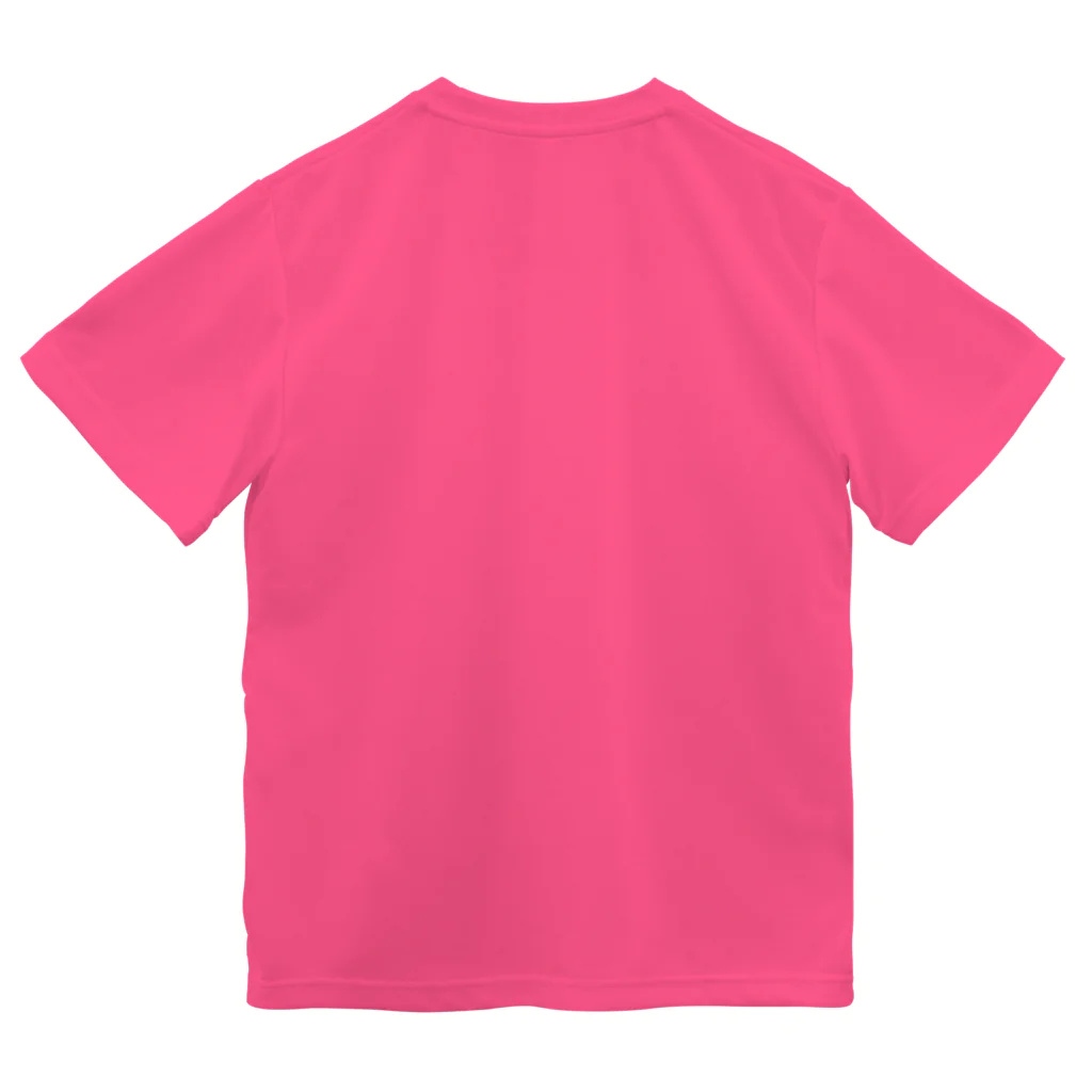 gpjt_753-dmの２色パターン12 Dry T-Shirt