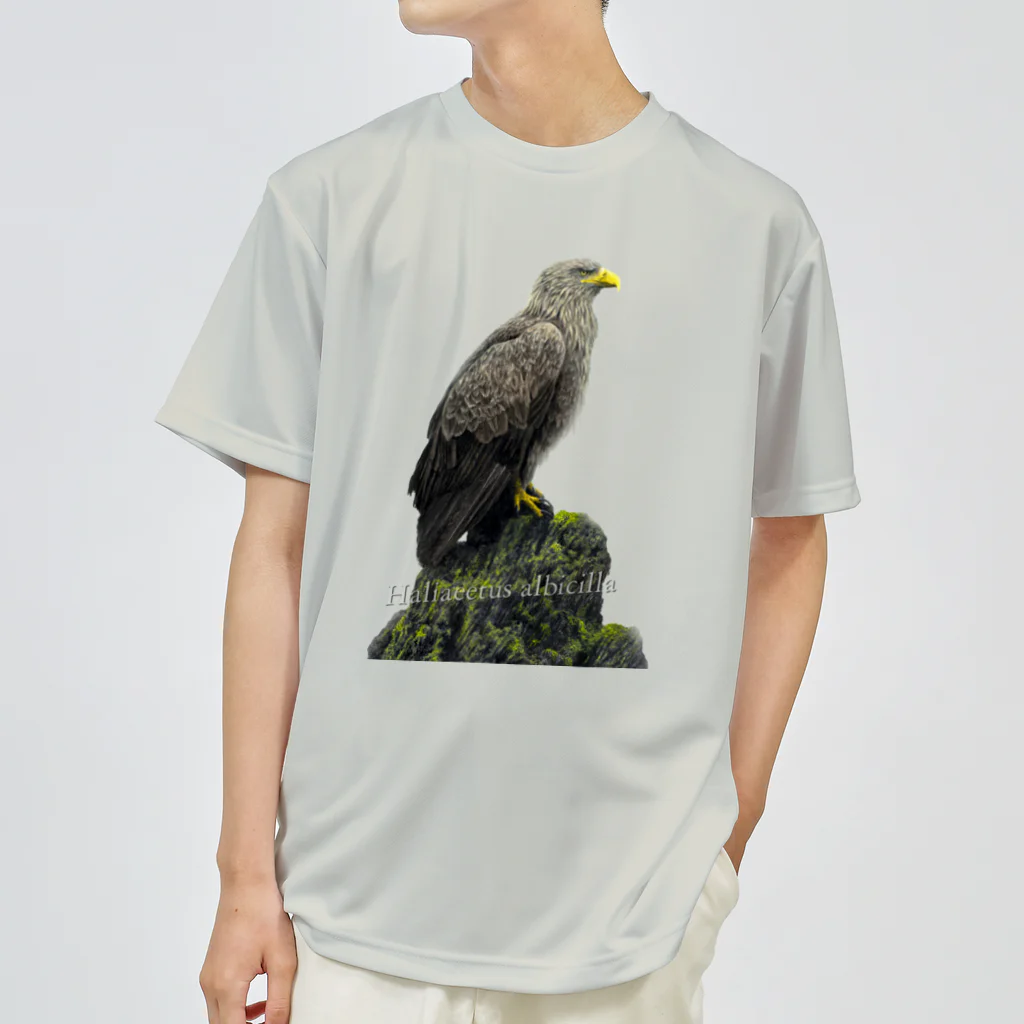 野鳥生活のオジロワシ（★寄付） Dry T-Shirt