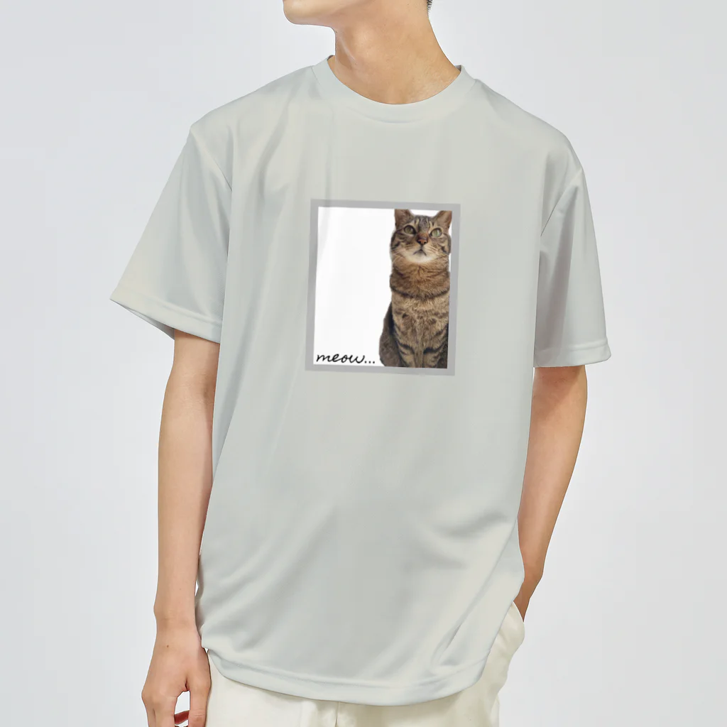 meow.の猫のちぃちゃん。(おすましver.) ドライTシャツ