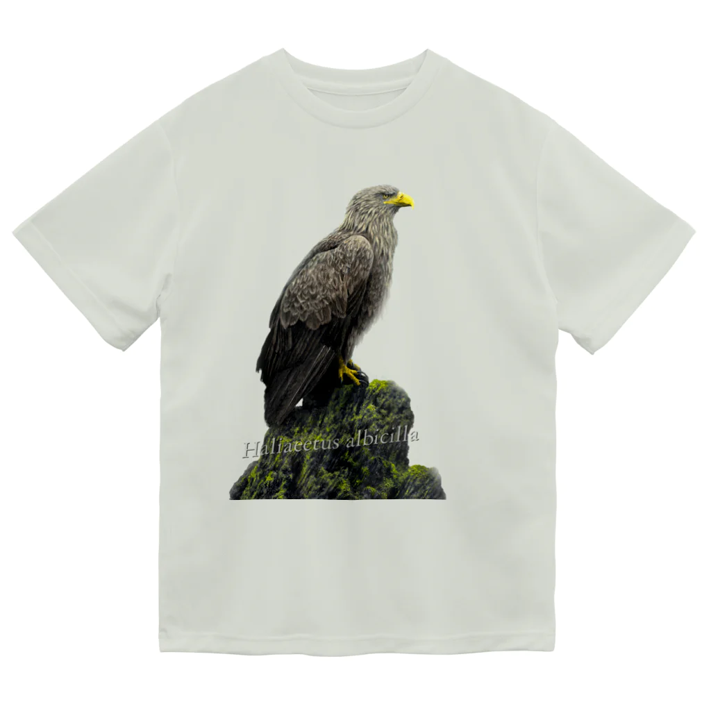 野鳥生活のオジロワシ（★寄付） ドライTシャツ