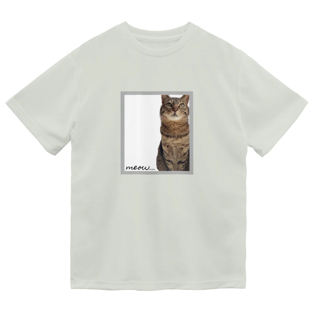 meow.の猫のちぃちゃん。(おすましver.) Dry T-Shirt