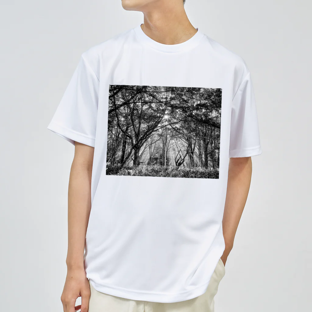 ネイティブ山小屋ん🏔の深呼吸Noir Dry T-Shirt