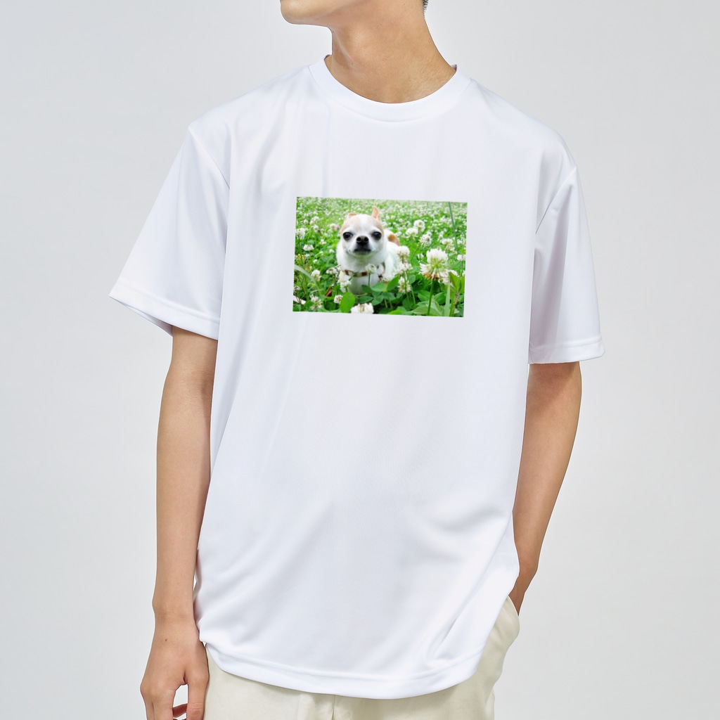 akane_art（茜音工房）のカラフルチワワ（クローバー） Dry T-Shirt
