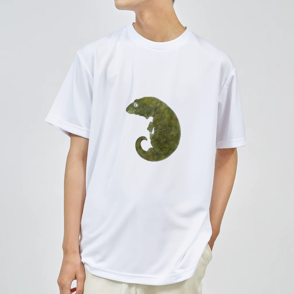 Syuto Hosoyaの苔むすジャイゲコ Dry T-Shirt