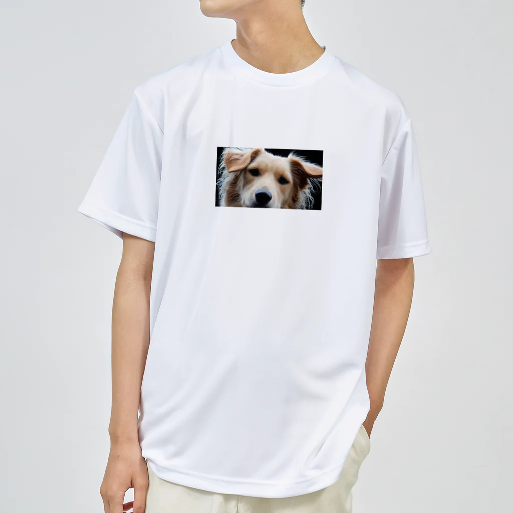 山犬ギフトの見張るボリーノ ドライTシャツ