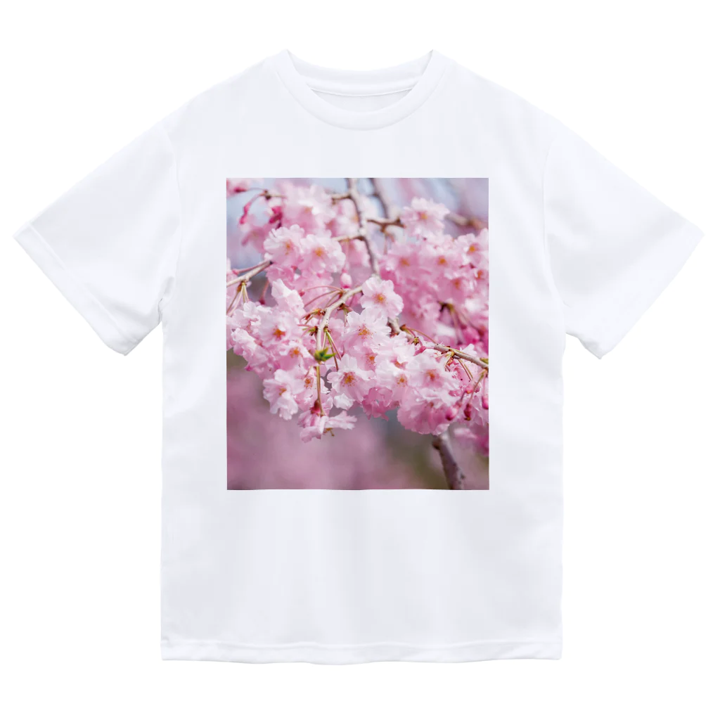akane_art（茜音工房）の癒しの風景（八重桜） ドライTシャツ