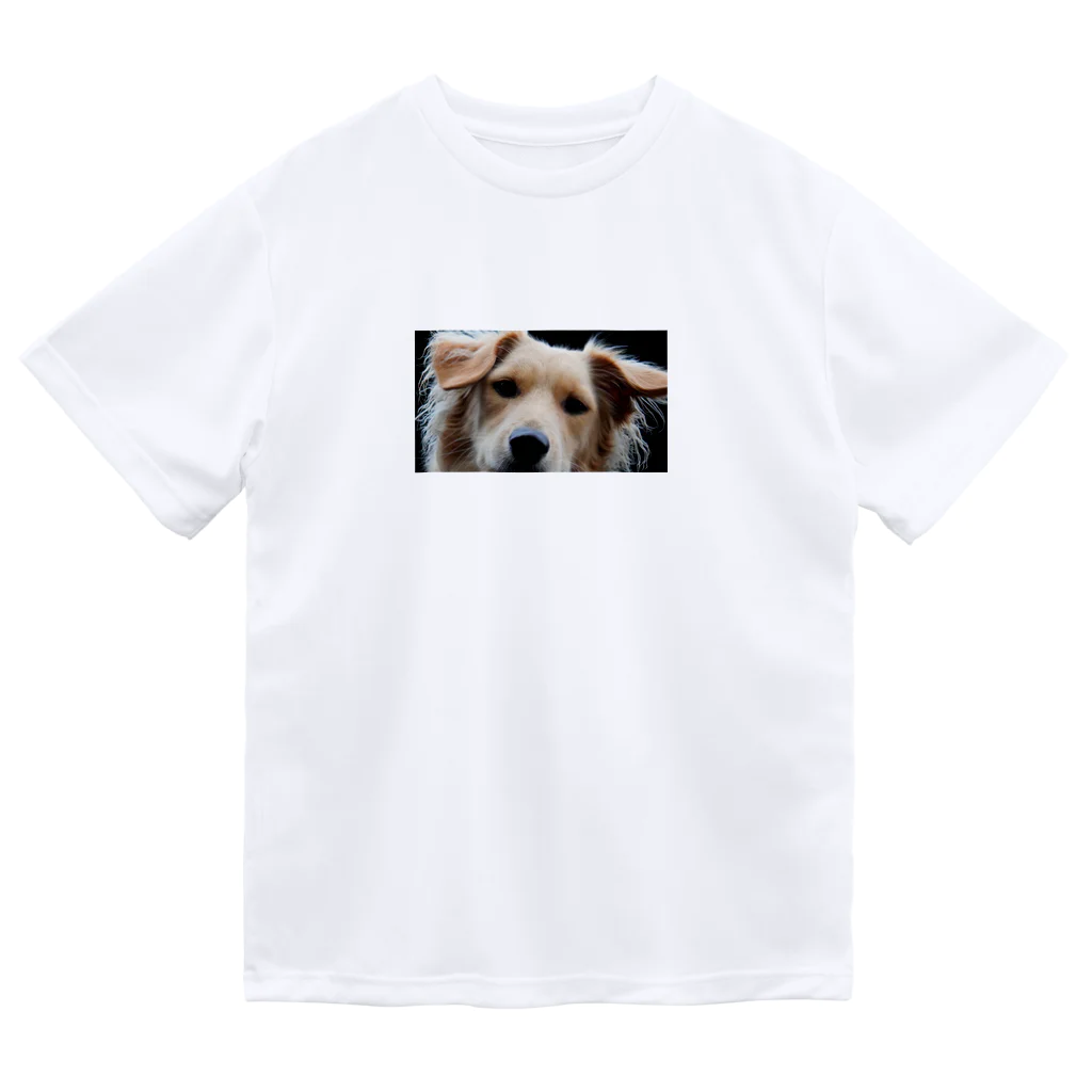山犬ギフトの見張るボリーノ ドライTシャツ