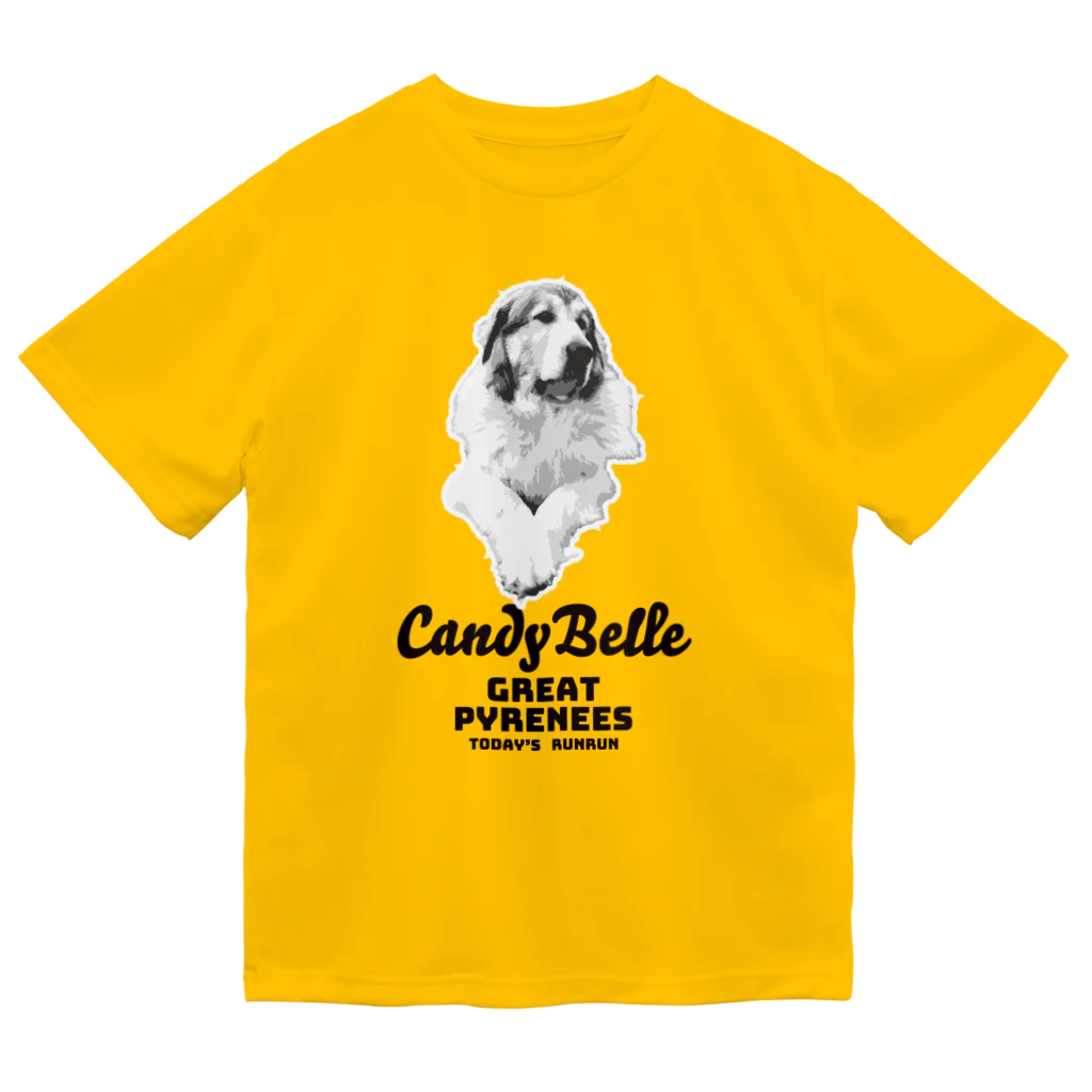 todays_runrunの今日のルンルン　Candy Belle Dry T-Shirt