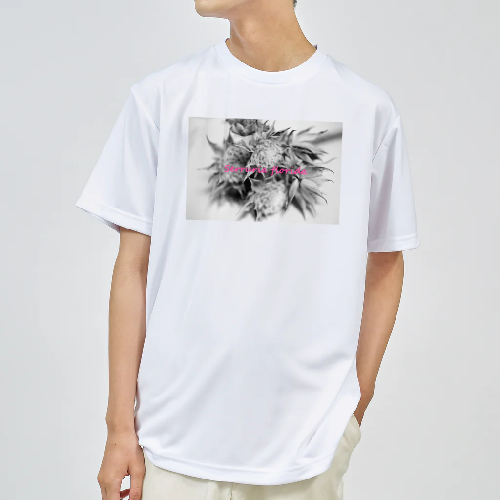 photo-kiokuのセルリア ドライTシャツ