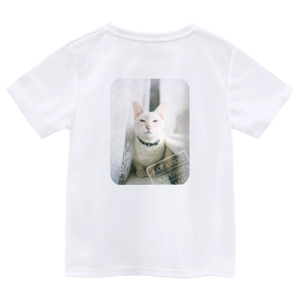 海賊猫 cocoのウクライナの猫 MurchikくんとNikotinくん♡ Cats ♡ Ukrainian cats #ウクライナ 本と猫 Donation Items Dry T-Shirt