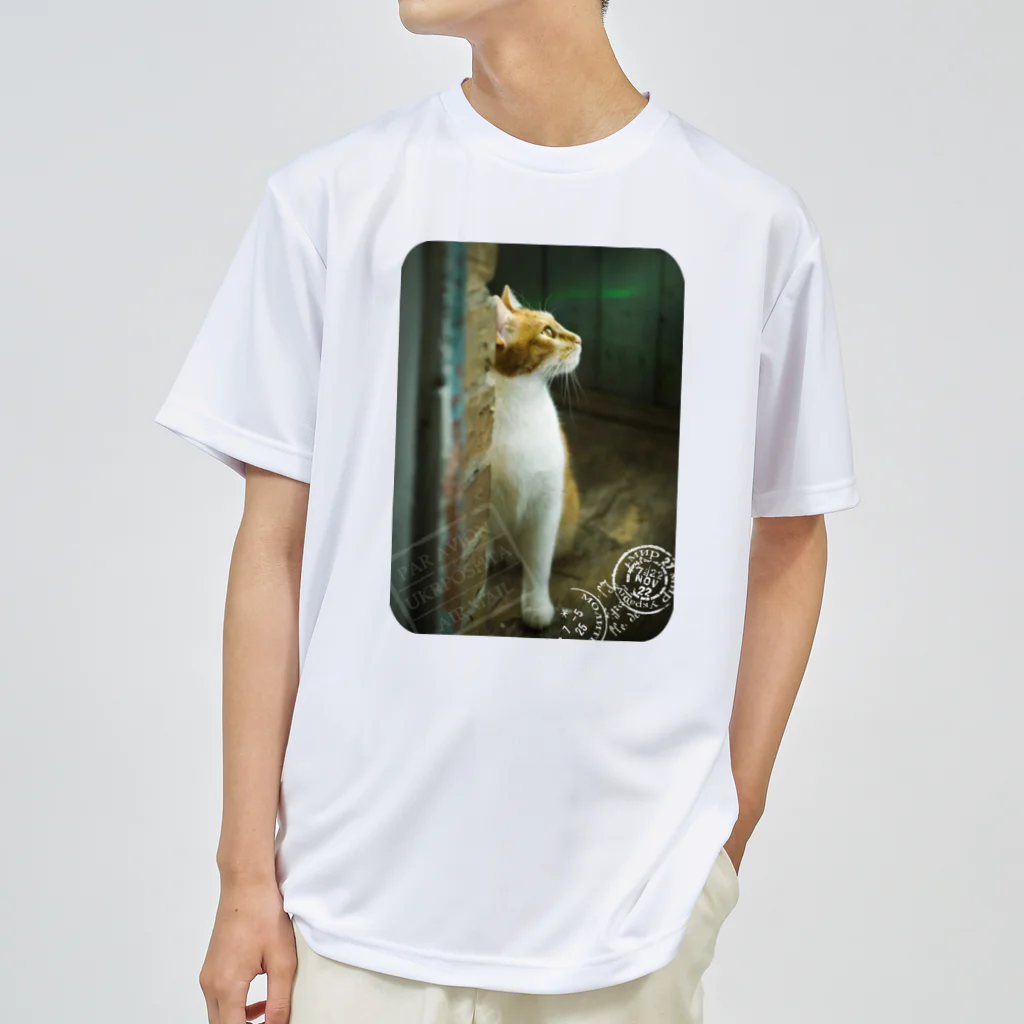 海賊猫 cocoのウクライナの猫 MurchikくんとNikotinくん♡ Cats ♡ Ukrainian cats #ウクライナ 本と猫 Donation Items Dry T-Shirt