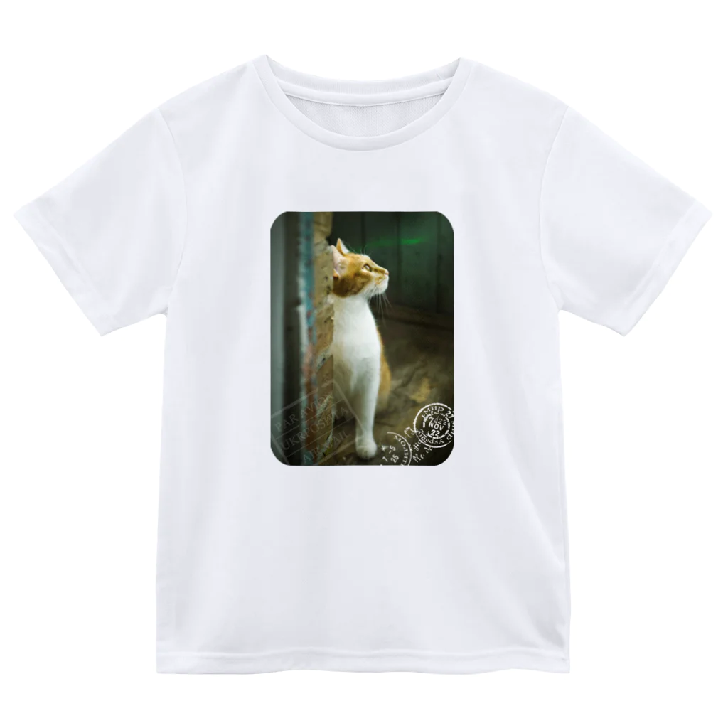 海賊猫 cocoのウクライナの猫 MurchikくんとNikotinくん♡ Cats ♡ Ukrainian cats #ウクライナ 本と猫 Donation Items Dry T-Shirt