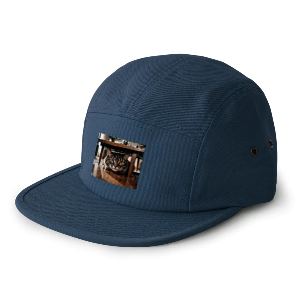 zigerparkの隠れる猫 5 Panel Cap