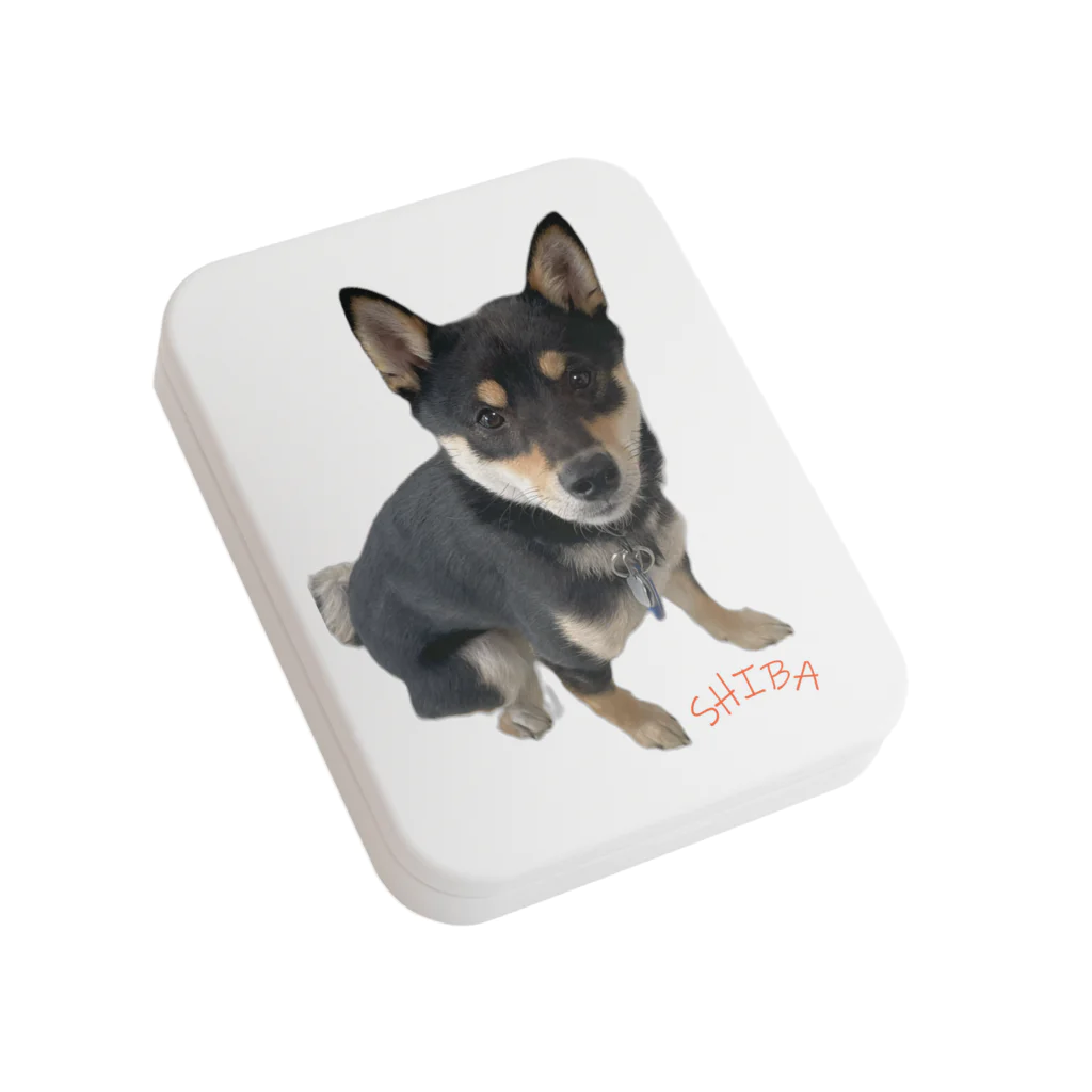 うたた寝の🐾豆柴BOY🐾 世界中で愛される柴犬　1歳 Flat Tin Case