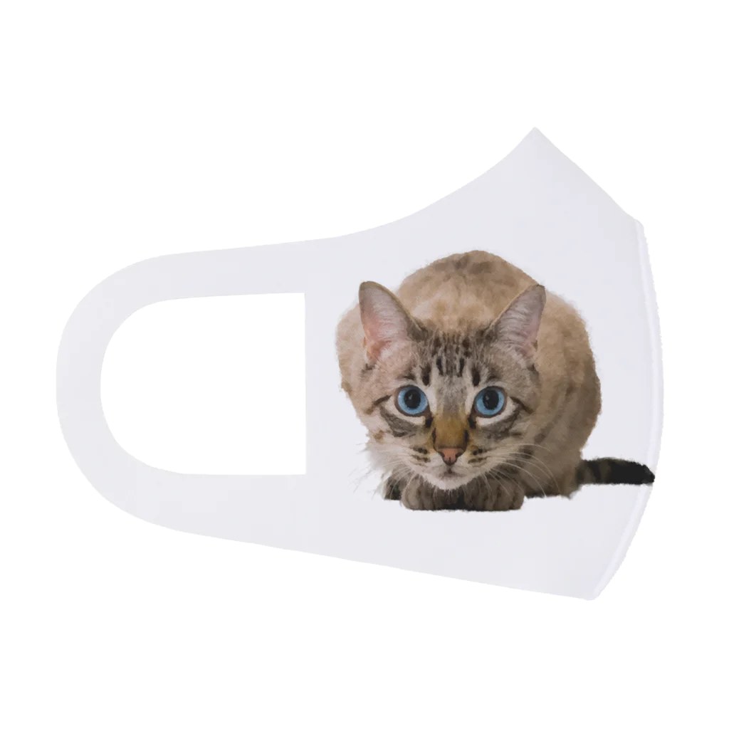 bitpiyoのねこちゃん Face Mask