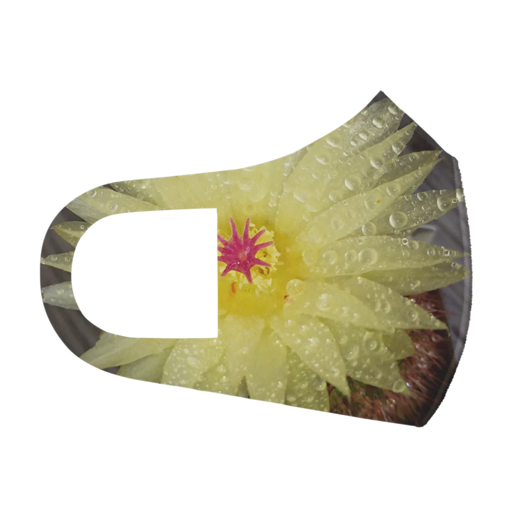 でおきしりぼ子の実験室のサボテンの花 フルグラフィックマスク
