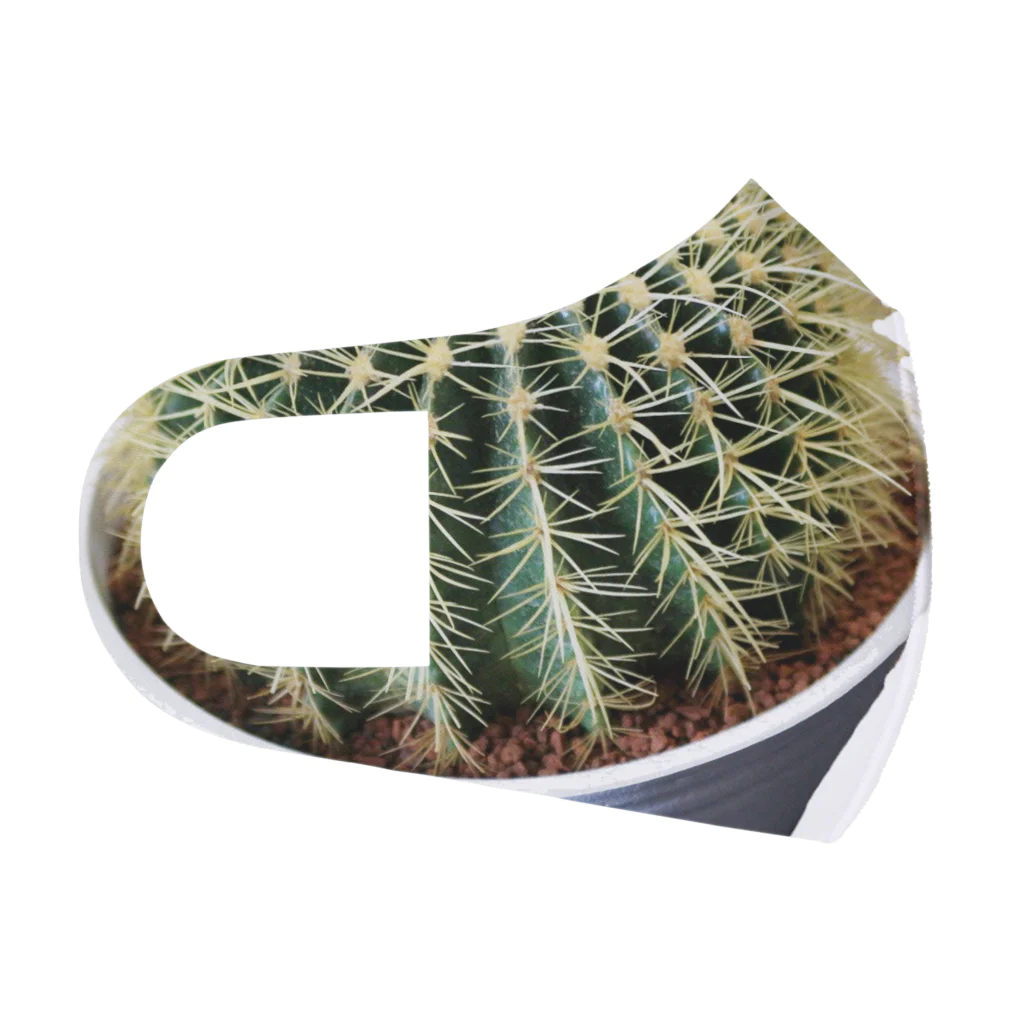 POJO  CACTUSの金鯱 グルソニー Face Mask