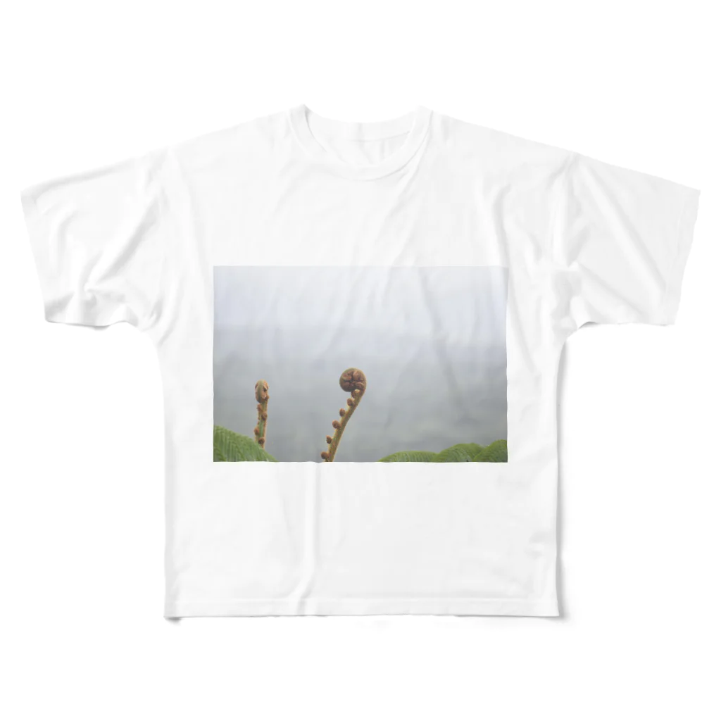 写真館のぐるぐるシダ植物 フルグラフィックTシャツ