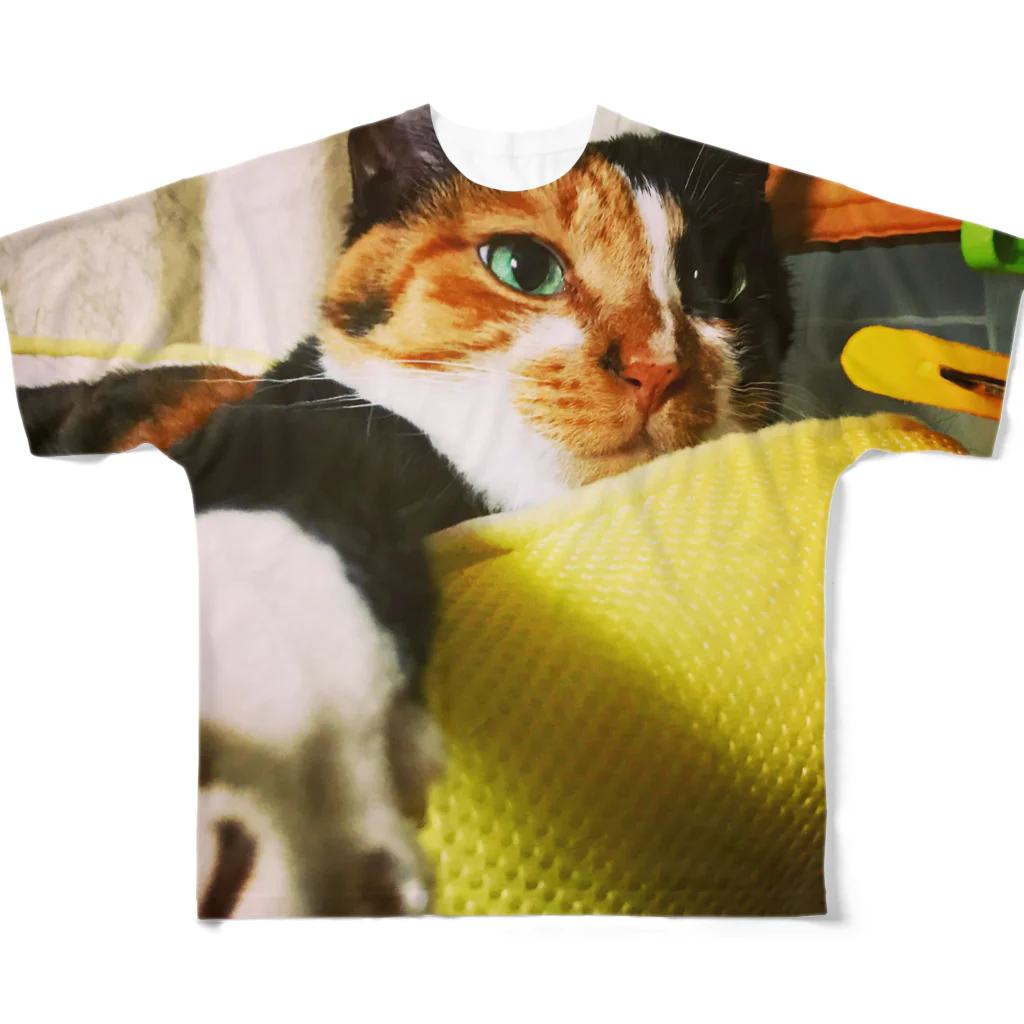 猫力(CAT POWER)のれもたん2 フルグラフィックTシャツ