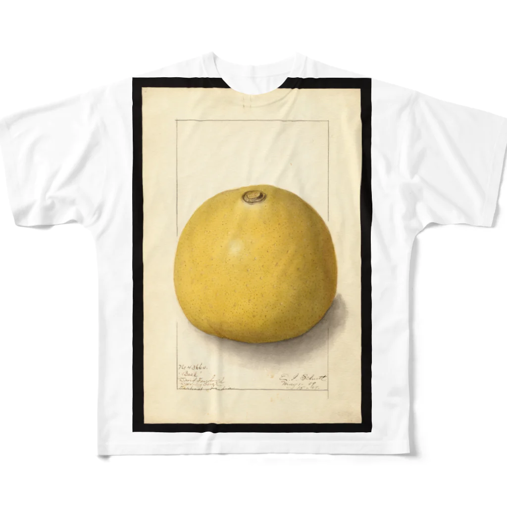 ArtShirtのAegle marmelos  All-Over Print T-Shirt