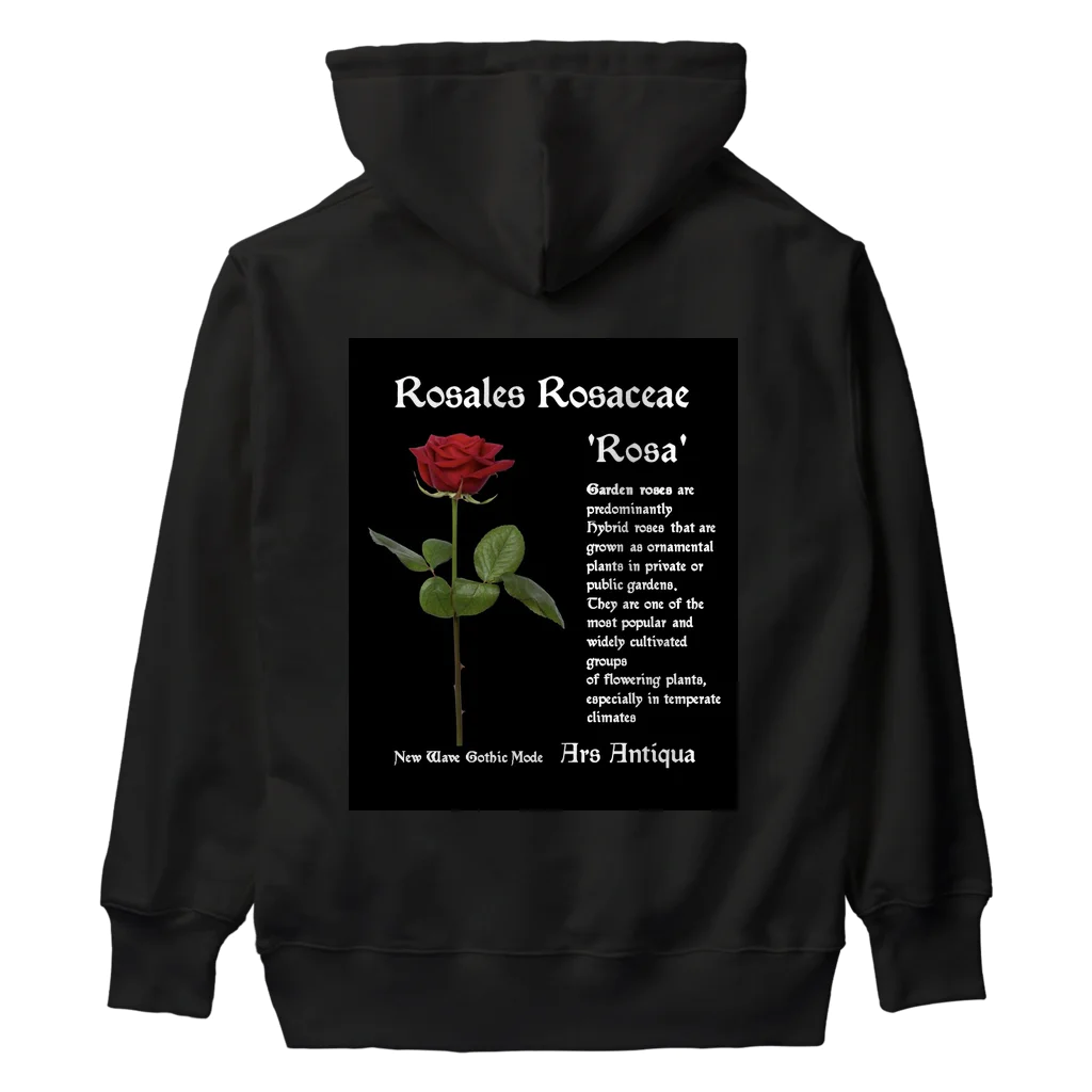 Ars Antiquaの背面プリント Rosales Rosaceae 'Rosa' 2 ヘビーウェイトパーカー