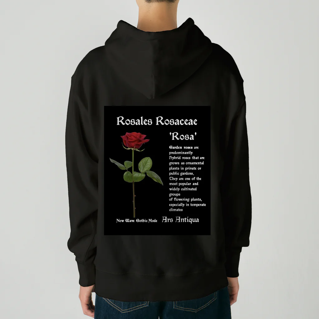 Ars Antiquaの背面プリント Rosales Rosaceae 'Rosa' 2 Heavyweight Hoodie