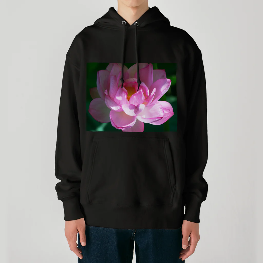 akane_art（茜音工房）の癒しの風景（ハス） Heavyweight Hoodie