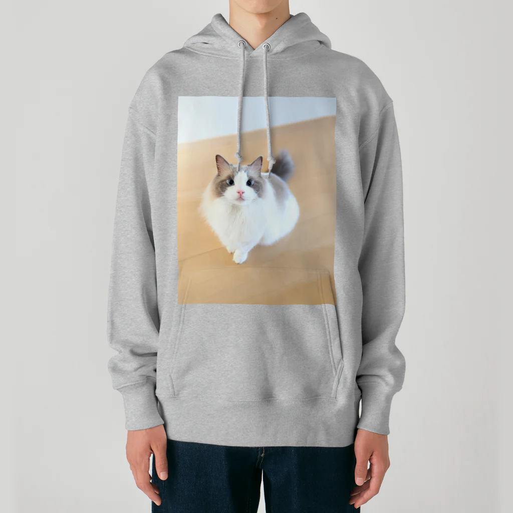 nachiのおうちのおすわりねこ Heavyweight Hoodie