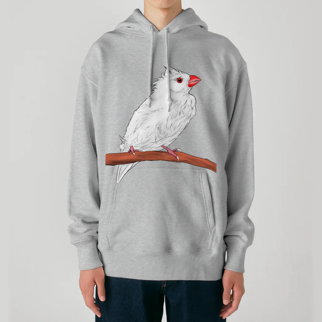 Lily bird（リリーバード）の水浴び文鳥 カラー Heavyweight Hoodie