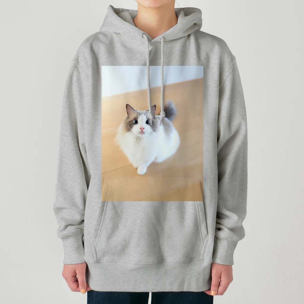 nachiのおうちのおすわりねこ Heavyweight Hoodie