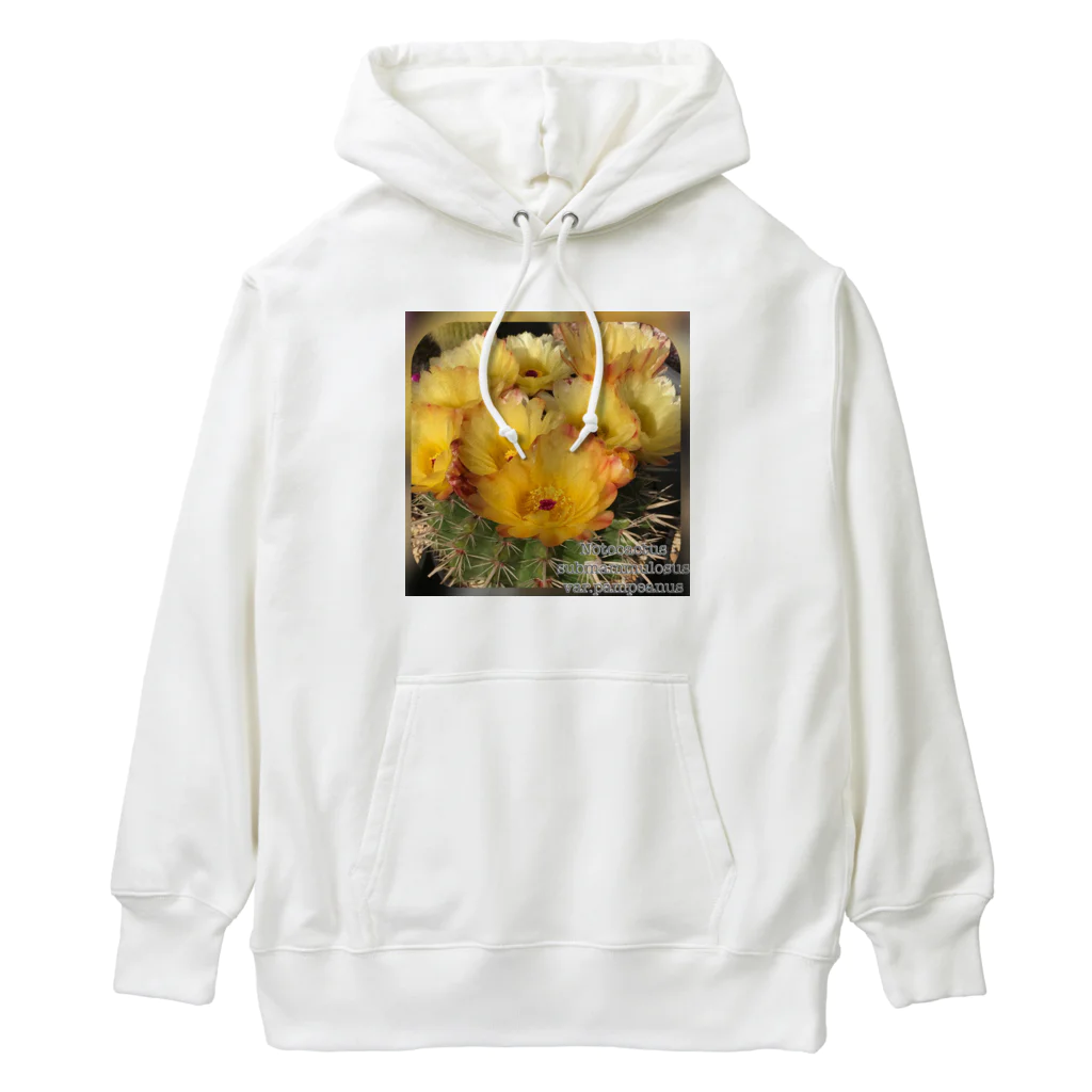 シアン猫の植物図鑑のサボテン獅子王丸 Heavyweight Hoodie