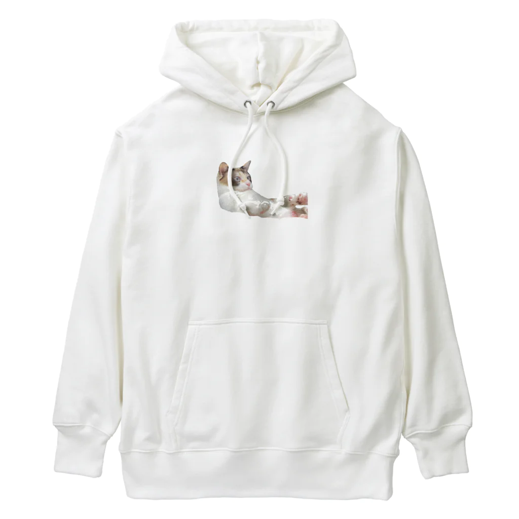 ｱｽｶのわさびの服 Heavyweight Hoodie