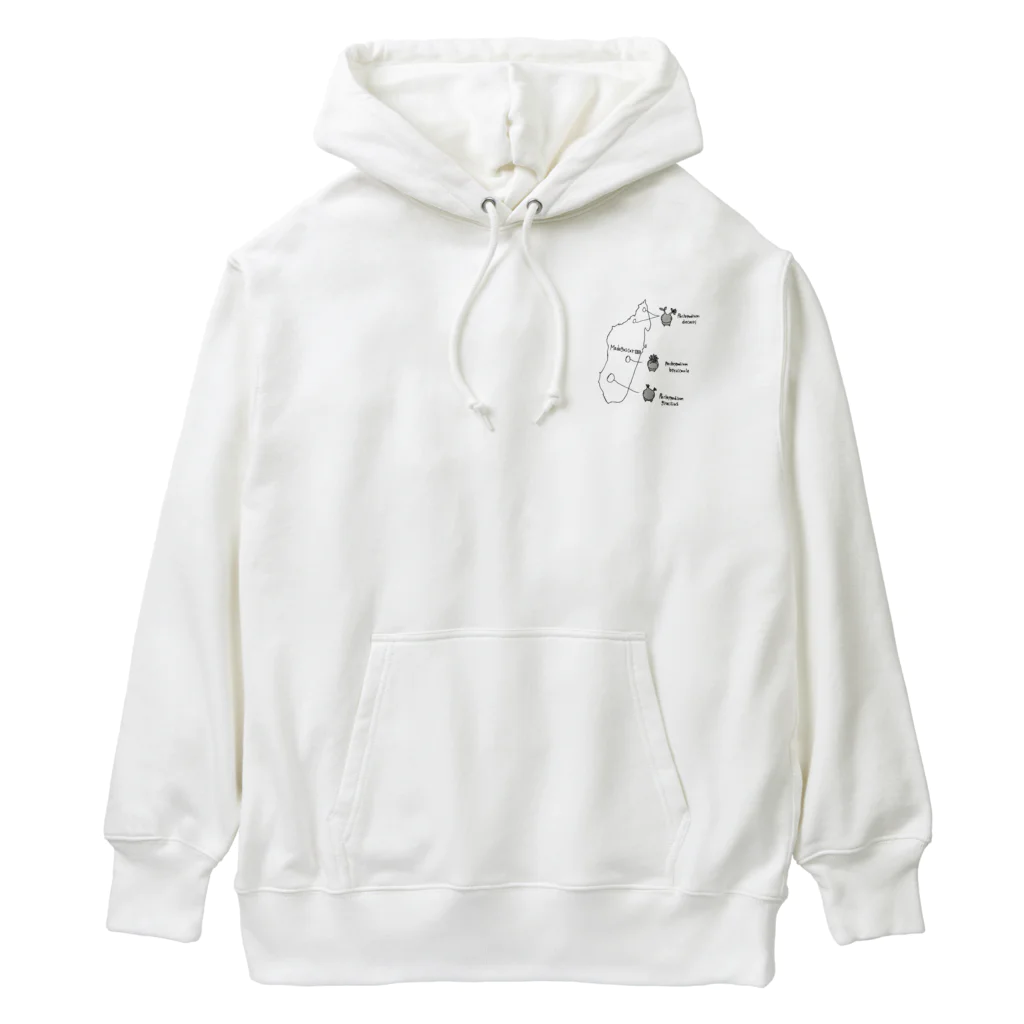 knpgのマダガスカル　コーデックス Heavyweight Hoodie