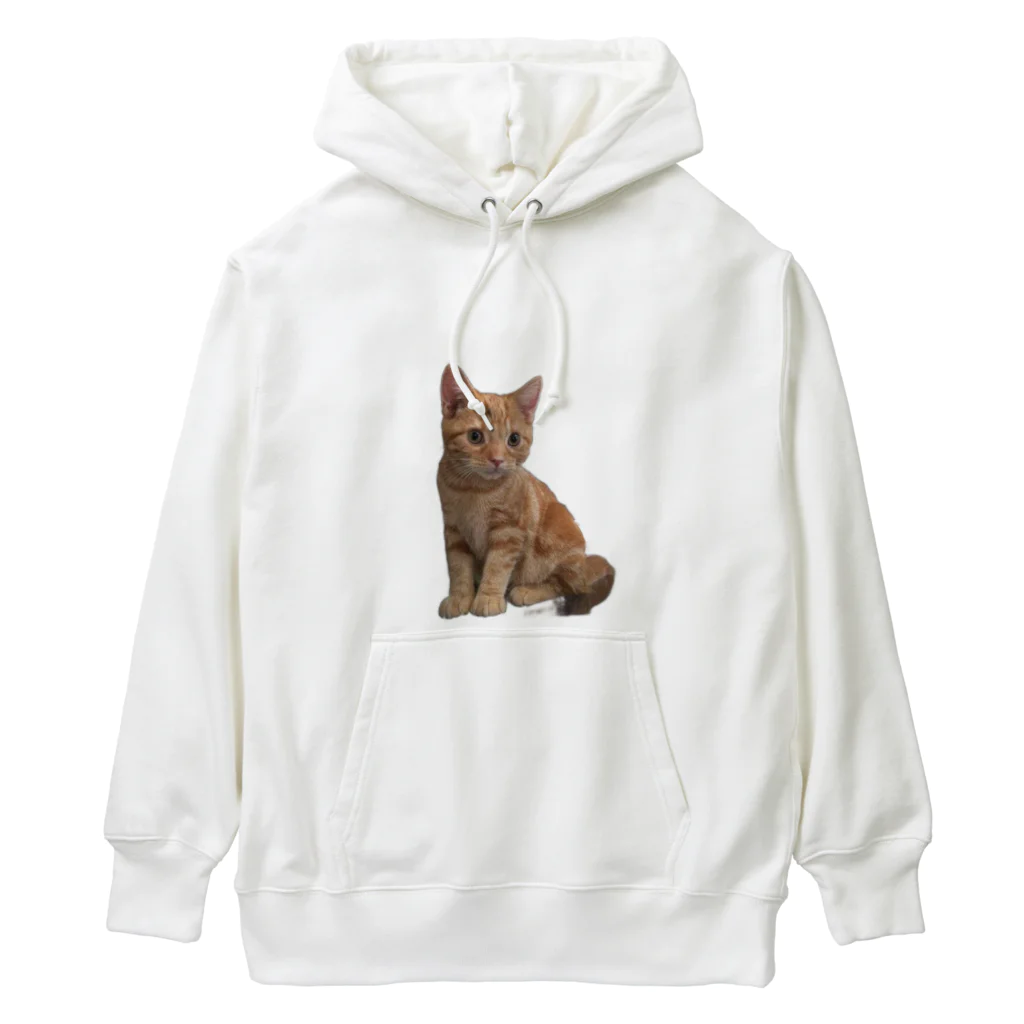 NoeL_SのおチビNoel Heavyweight Hoodie