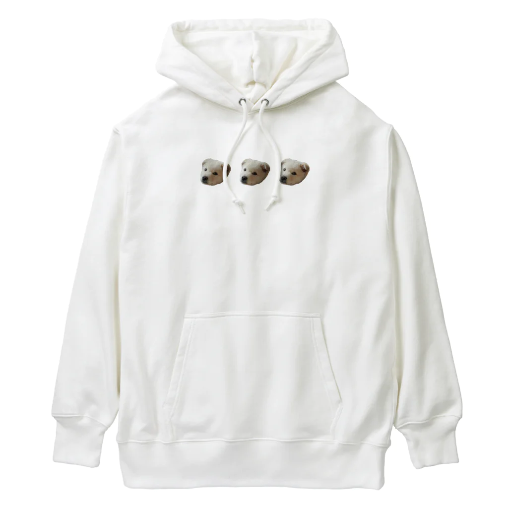 ゴンのいぬ 3連 Heavyweight Hoodie