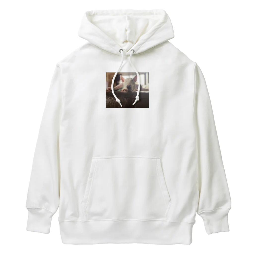 ブルテリアのにきぶうのブルテリアのにきぶう Heavyweight Hoodie