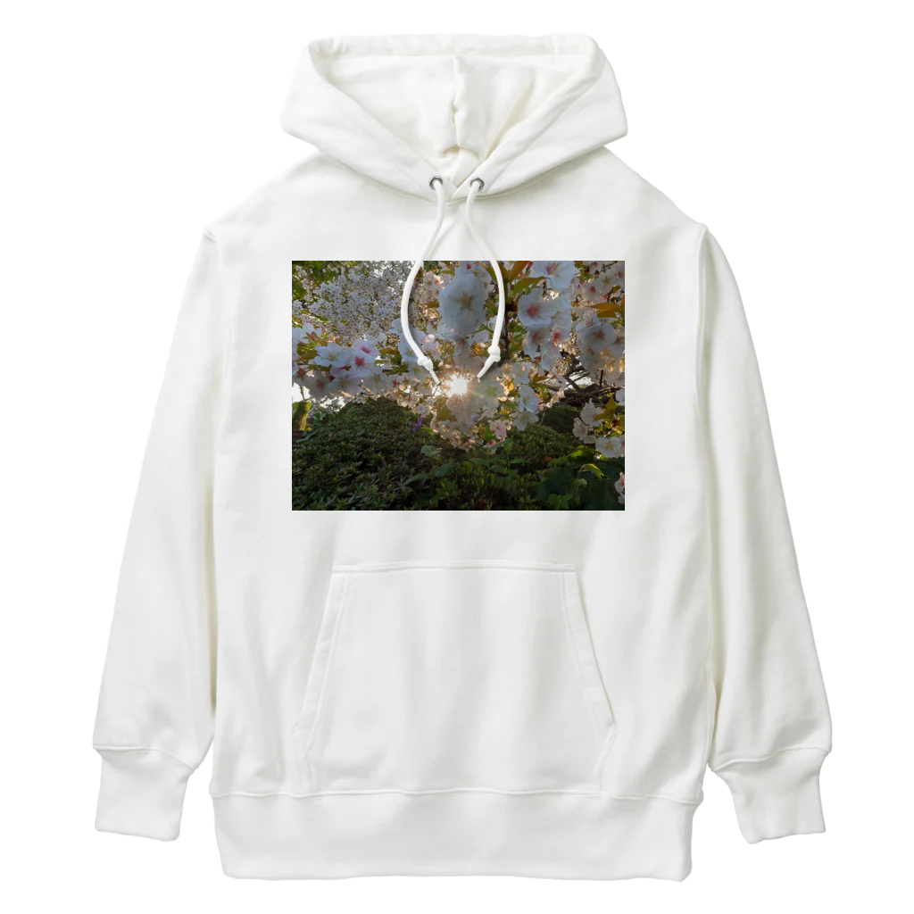 nokkccaの桜満開 - Backlit Sakura - Heavyweight Hoodie