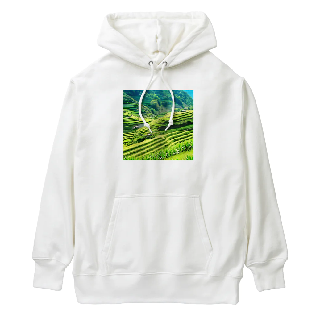 dolphineの日本の原風景　棚田 Heavyweight Hoodie