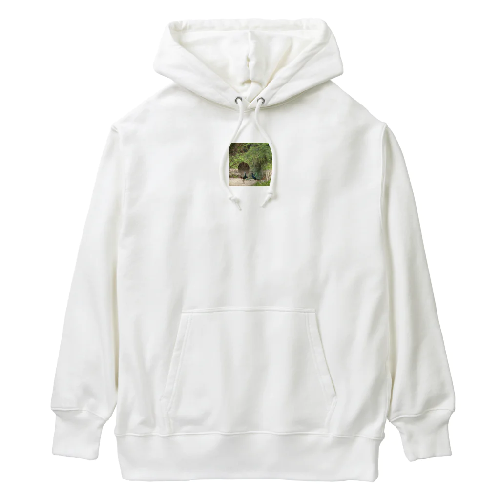 Stylishの自然な色彩 Heavyweight Hoodie