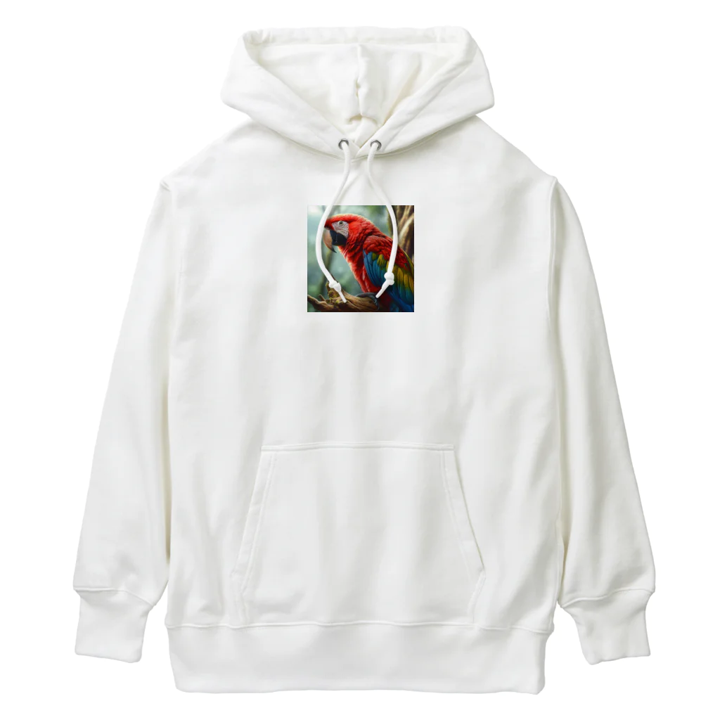 SAKIのコンゴウインコ Heavyweight Hoodie